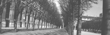 tree grove