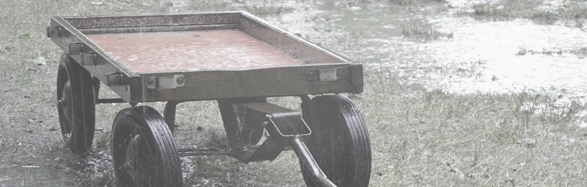 Wagon